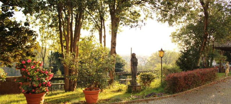 Villa Flangini 弗朗基尼别墅(Villa Flangini)图片