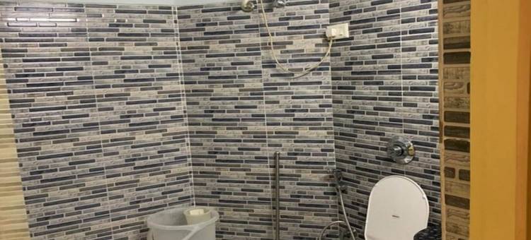 拉曼斯酒店(Hotel Raman's)图片