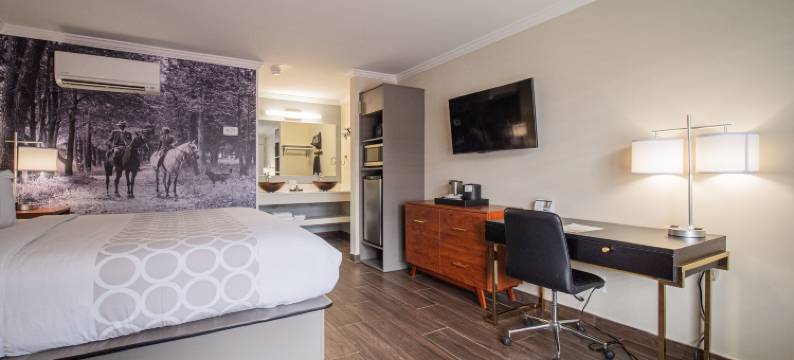 奥卡拉马之旅馆(Equus Inn I75)图片