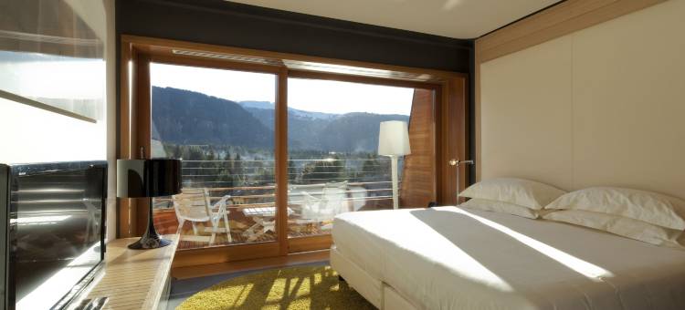 米兰阿尔彭度假会议及Spa酒店(Hotel Milano Alpen Resort Meeting&Spa)图片