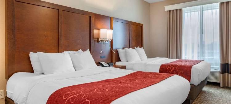 哥伦布机场舒适套房酒店(Comfort Suites Columbus Airport)图片