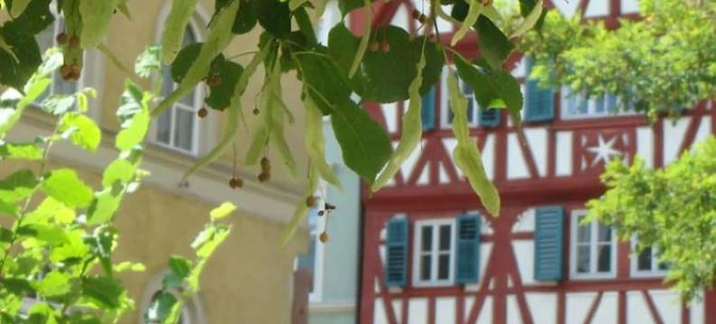 巴伐利亚霍夫酒店(Bayerischer Hof)图片