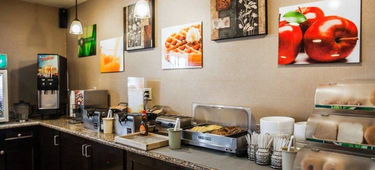 阿纳海姆公园品质套房酒店(Quality Inn & Suites Anaheim at the Park)图片