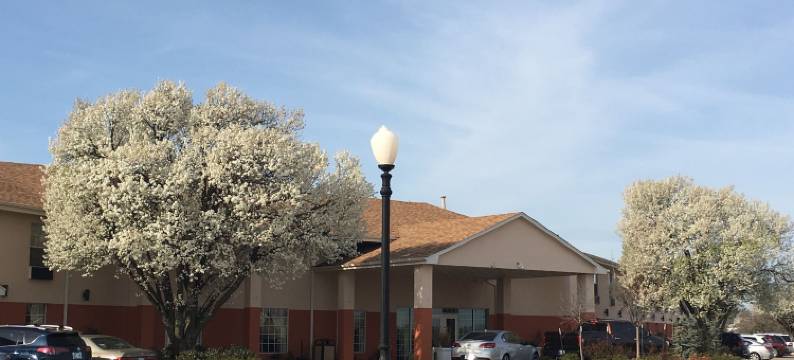 格斯里领土旅馆(Territorial Inn Guthrie Oklahoma)图片