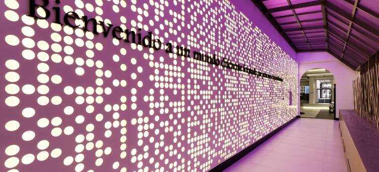 马德里伊鲁尼套房酒店(Ilunion Suites Madrid)图片