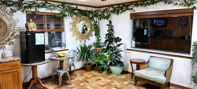 甜泉奈特旅馆(Night Inn)图片