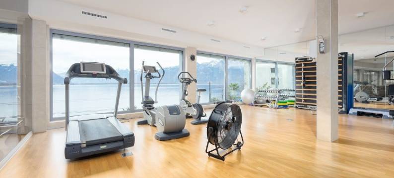 蒙特勒湖景公寓及水疗中心(Montreux Lake View Apartments and Spa - Swiss Hotel Apartments)图片