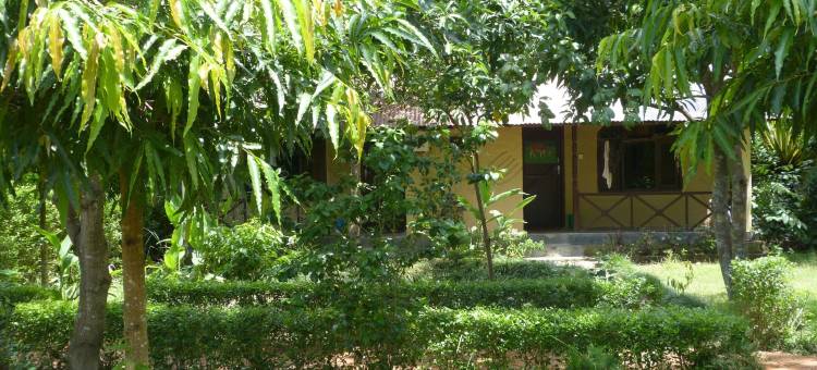 大自然野生动物园小屋(Nature Safari Resort)图片