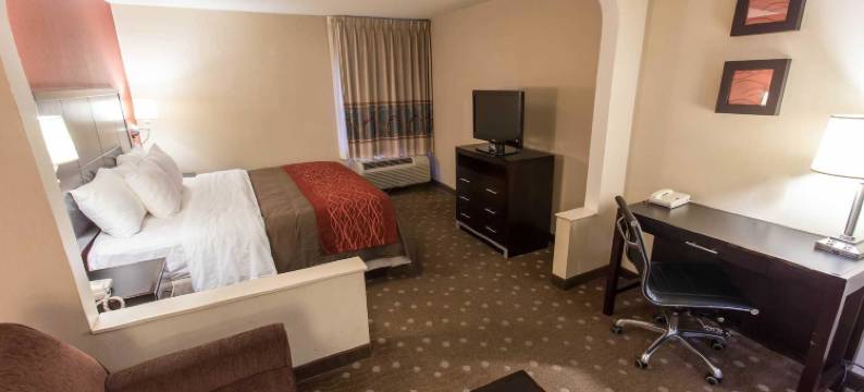 匹兹堡舒适酒店(Comfort Inn)图片