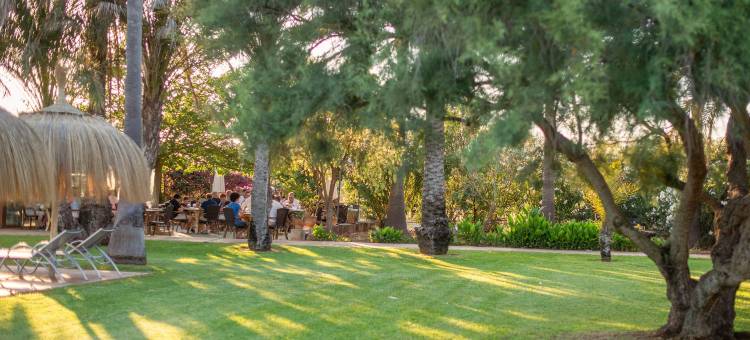 芬卡运河Spa度假村(Finca Hotel Can Canals & Spa)图片