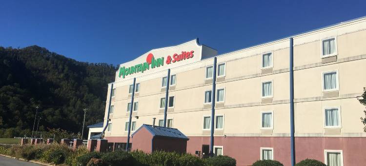 高山套房酒店(Mountain Inn & Suites)图片