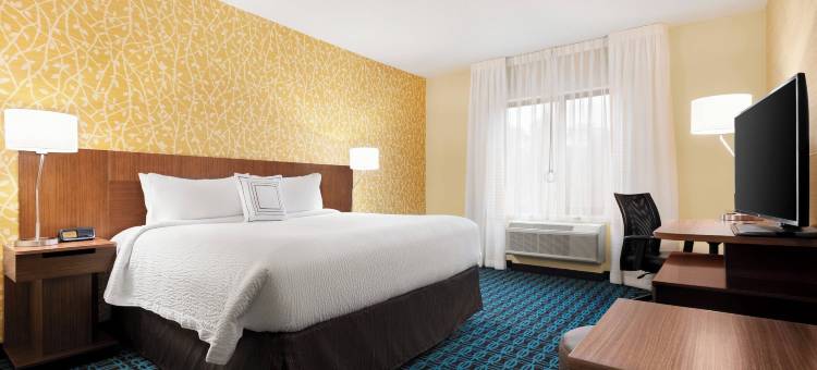 夏洛茨维尔市区-大学区万枫套房酒店(Fairfield Inn & Suites Charlottesville Downtown/University Area)图片