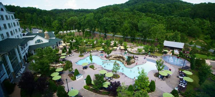 达莱坞梦想度假村(Dollywood's DreamMore Resort and Spa)图片