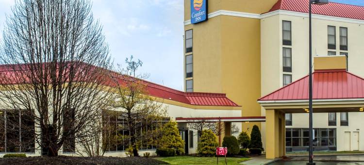 舒适酒店(Comfort Inn)图片