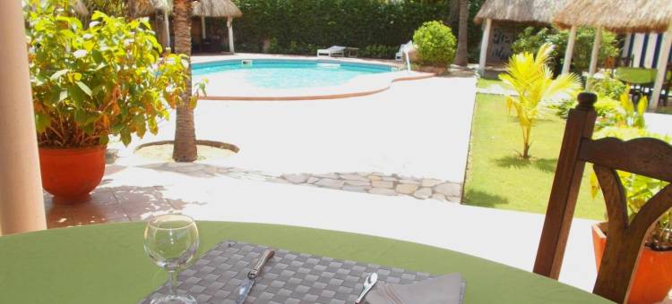 阿利兹酒店(Hôtel Alizé Plage)图片