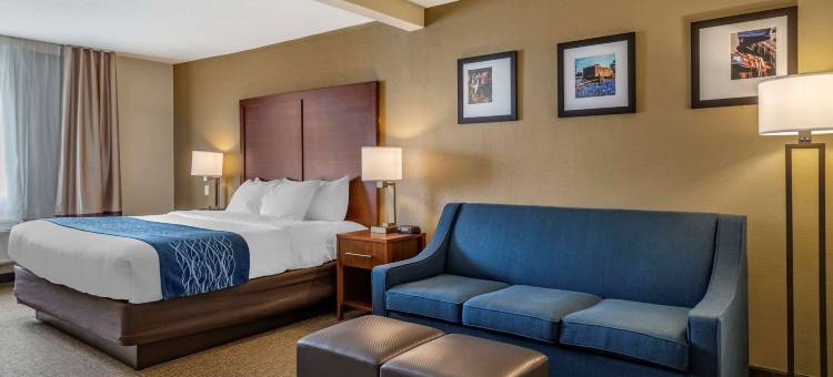 德克萨斯州山坡乡村舒适套房酒店(Comfort Inn & Suites Texas Hill Country)图片