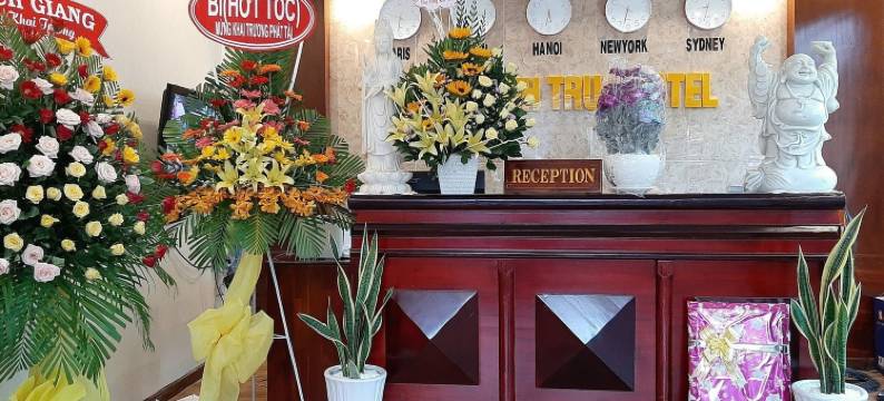 金瓯坦特鲁酒店(Thanh Truc Hotel Ca Mau)图片