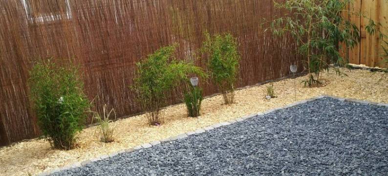 里里斯公寓酒店(Lilis Ferienwohnung)图片