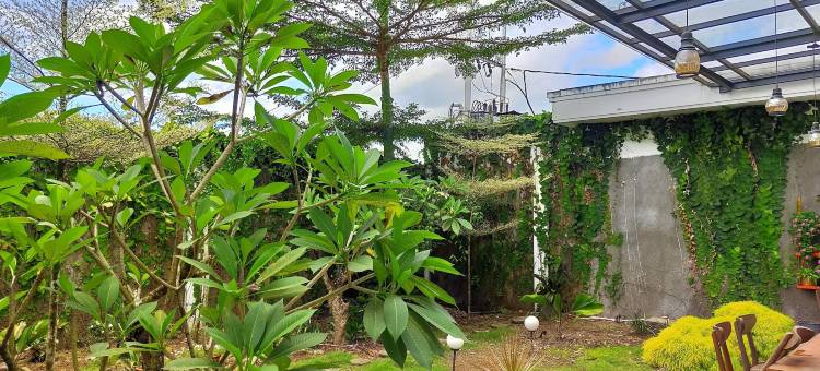 绿宝石酒店(Emerald Hotel)图片