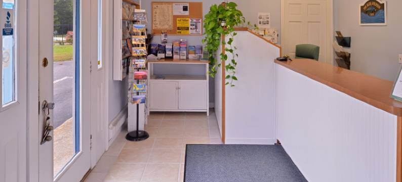 蓝海豚酒店(Blue Dolphin Inn)图片