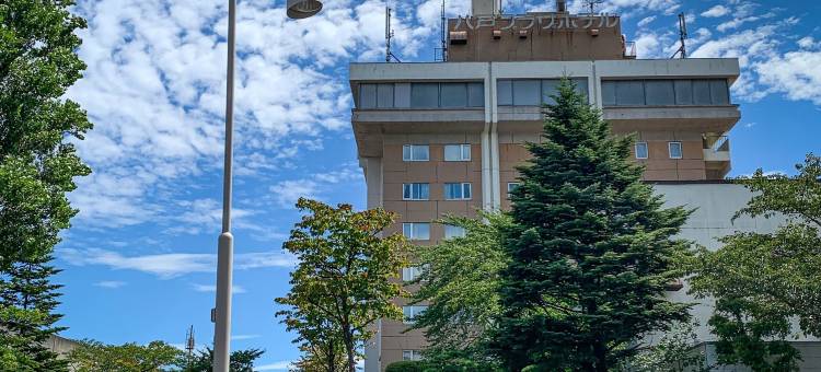 八户广场酒店(Hachinohe Plaza Hotel)图片