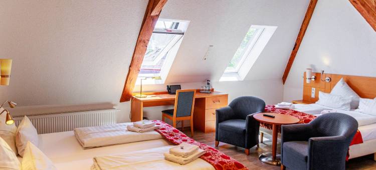 科鲁兹博登湖酒店(Bodensee-Hotel Kreuz)图片