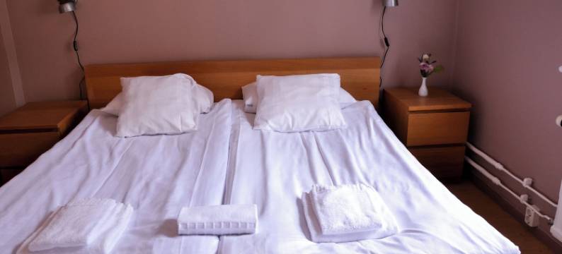 阿德尔斯加坦民宿(Adelsgatan Bed & Breakfast)图片