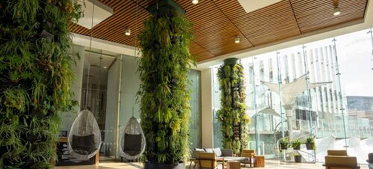 墨西哥城圣达菲希尔顿花园酒店(Hilton Garden Inn Mexico City Santa Fe)图片