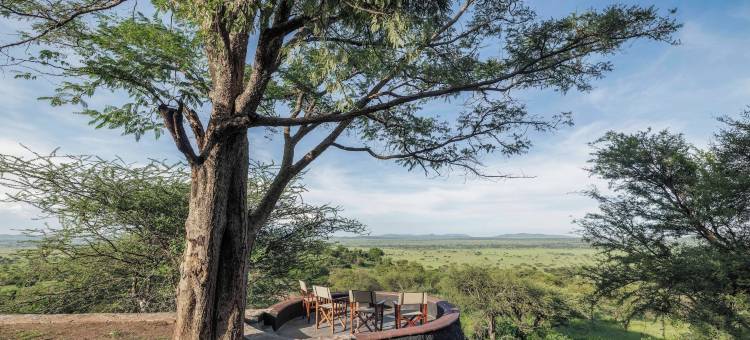 塞伦盖蒂探险者(Serengeti Explorer)图片