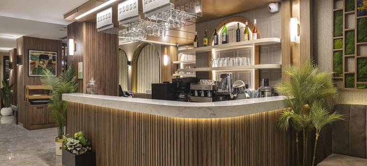 洲际酒店集团旗下的加纳酒店伊斯坦布尔 - 阿尔纳武特科伊机场(Garner Hotel Istanbul - Airport Arnavutkoy by IHG)图片