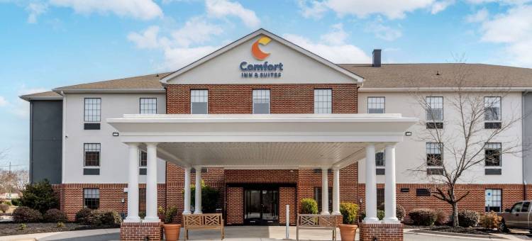 凯富套房酒店(Comfort Inn & Suites)图片