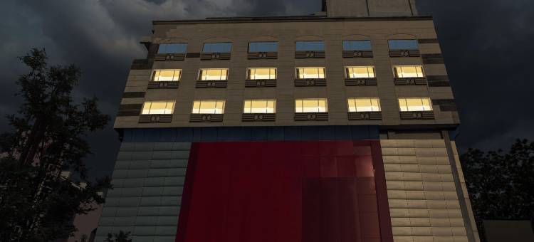 Treebo D Grand图片