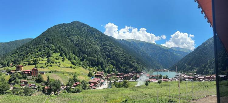乌曾戈尔奥兹图尔克酒店(Uzungöl Ozturk Hotel)图片