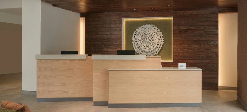 列克星敦乔治敦/学院万枫旅馆及套房(Fairfield Inn & Suites Lexington Georgetown/College Inn)图片