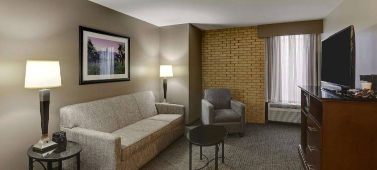 哥伦布都柏林德鲁里套房酒店(Drury Inn & Suites Columbus Dublin)图片