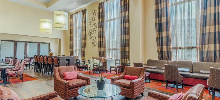 希尔顿欢朋套房酒店-底特律机场罗穆勒斯(Hampton Inn & Suites Detroit/Airport-Romulus)图片