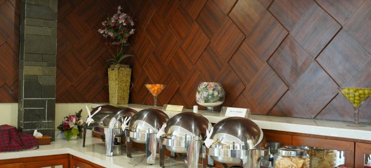 阿内斯中央酒店(Arnes Central Hotel)图片