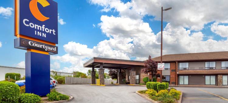 圣凯瑟琳尼亚加拉舒适酒店(Comfort Inn)图片