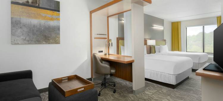 雅典市西万豪SpringHill酒店(SpringHill Suites Athens West)图片