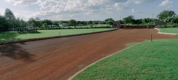 哈姆雷特(The Hamlet)图片