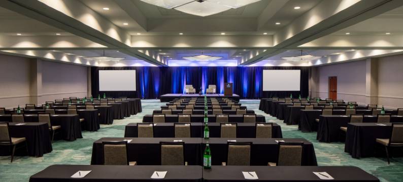 圣彼得堡卡里永希尔顿酒店(Hilton St. Petersburg Carillon Park)图片