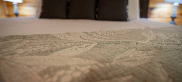 282 舒适小熊 1 卧室小屋(Stunning Lovers Getaway in Gatlinburg,New!Free Tickets 2 Dollywood,Anakeesta,Ziplining,Aquari & More)图片