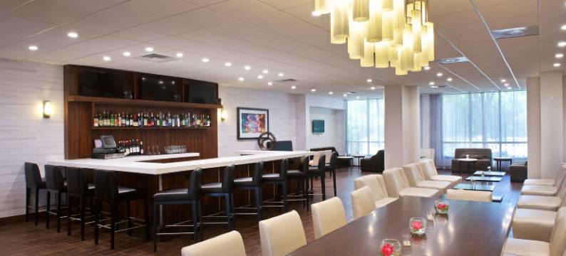 底特律利沃尼诺维希尔顿安泊酒店(Embassy Suites by Hilton Detroit Livonia Novi)图片