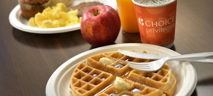 普雷斯顿斯堡西舒适套房酒店(Comfort Suites Prestonsburg West)图片