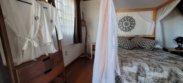 Nido Ecoluxury 梦幻树屋 - 树之家(Nido Ecoluxury Treehouse - Casa de Arbol)图片