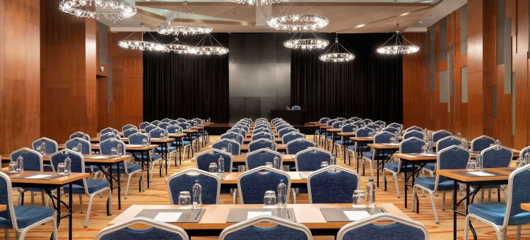 伊斯坦布尔亚洲丽笙酒店(Radisson Blu Hotel Istanbul Asia)图片