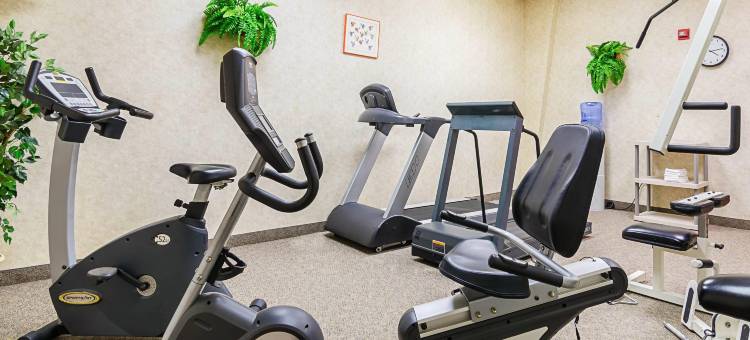 凯艺酒店-玫瑰花蕾(Quality Inn Rosebud Casino)图片