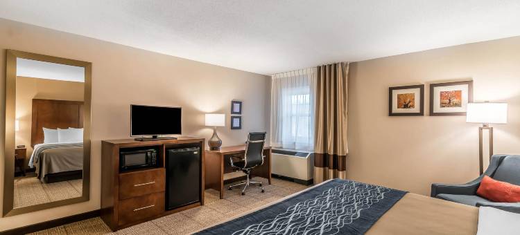 舒适酒店(Comfort Inn)图片