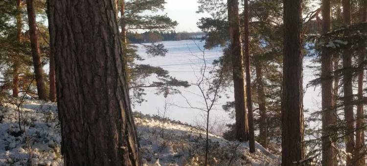 伊卡哈尼酒店(Hotelli Ikahani)图片