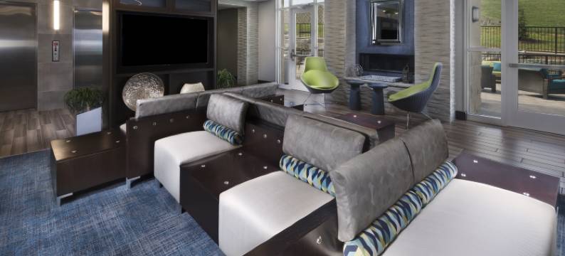 洲际假日酒店及套房，阿登 - 阿什维尔机场(Holiday Inn & Suites ARDEN - ASHEVILLE AIRPORT by IHG)图片